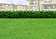 Lot for Sale in Pavia, Iloilo (Near Iloilo City and Iloilo Airport)
